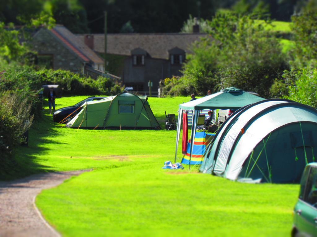 Hele Valley Holiday Park อิลฟราคูมบ์ ภายนอก รูปภาพ